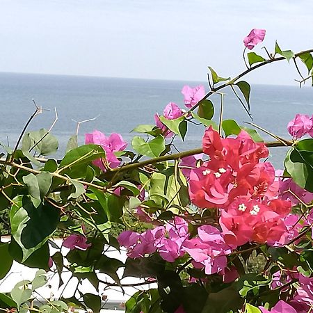 Colibri Lodge อัมบาโตโลกา ภายนอก รูปภาพ