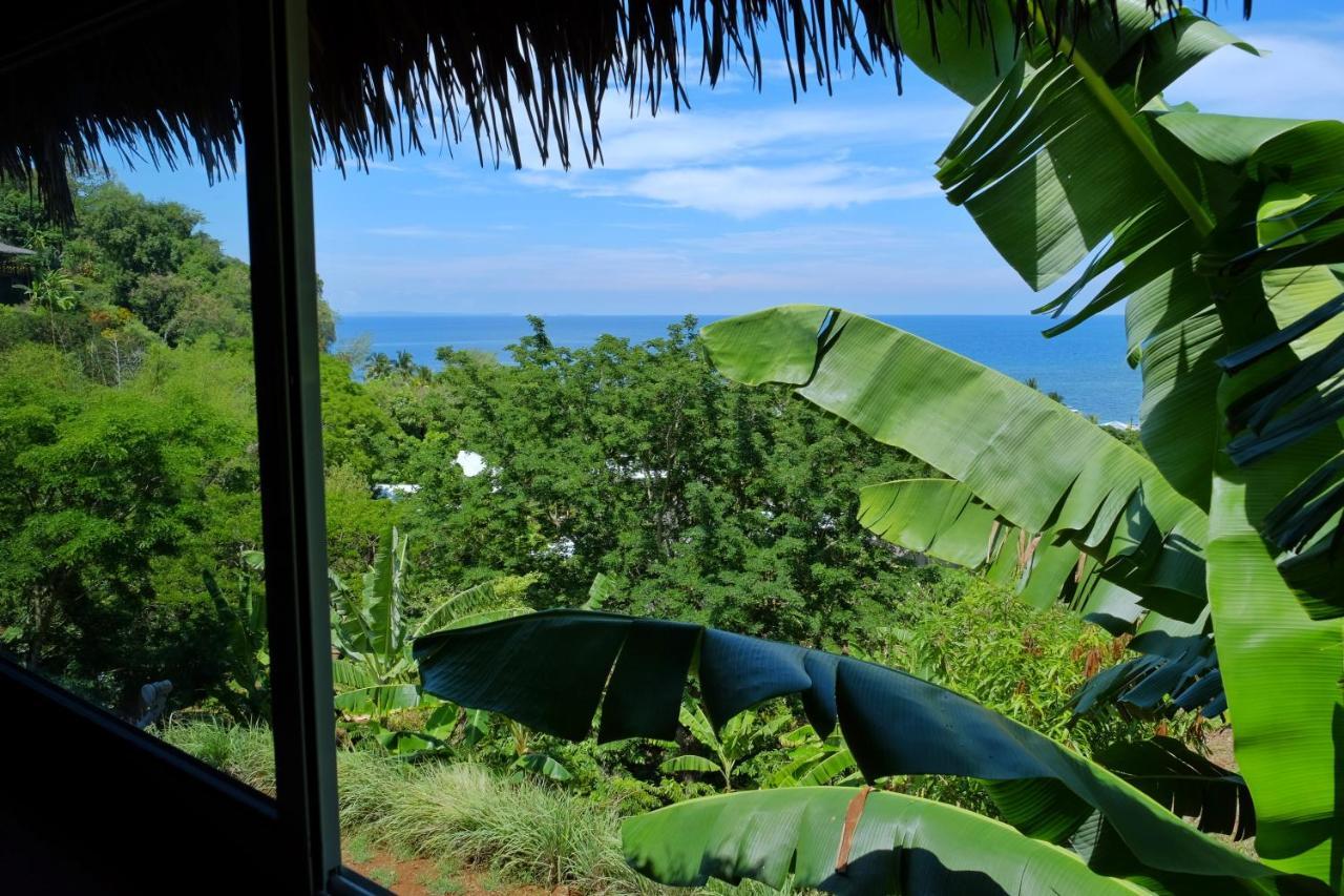 Colibri Lodge อัมบาโตโลกา ภายนอก รูปภาพ